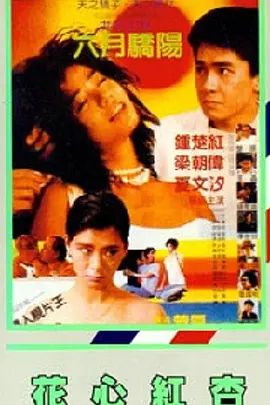cgwang官网